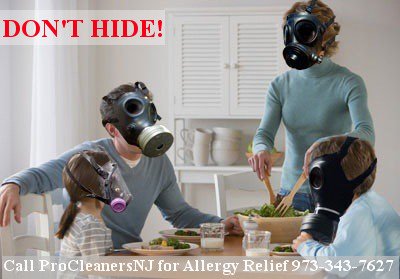 ProCleanersNJ's tweet photo. #SpringCleaning #NewJersey #Funny #LOL #WednesdayWisdom #NJ CALL #ProCleanersNJ 973-343-7627 https://t.co/YN4qGLucNG