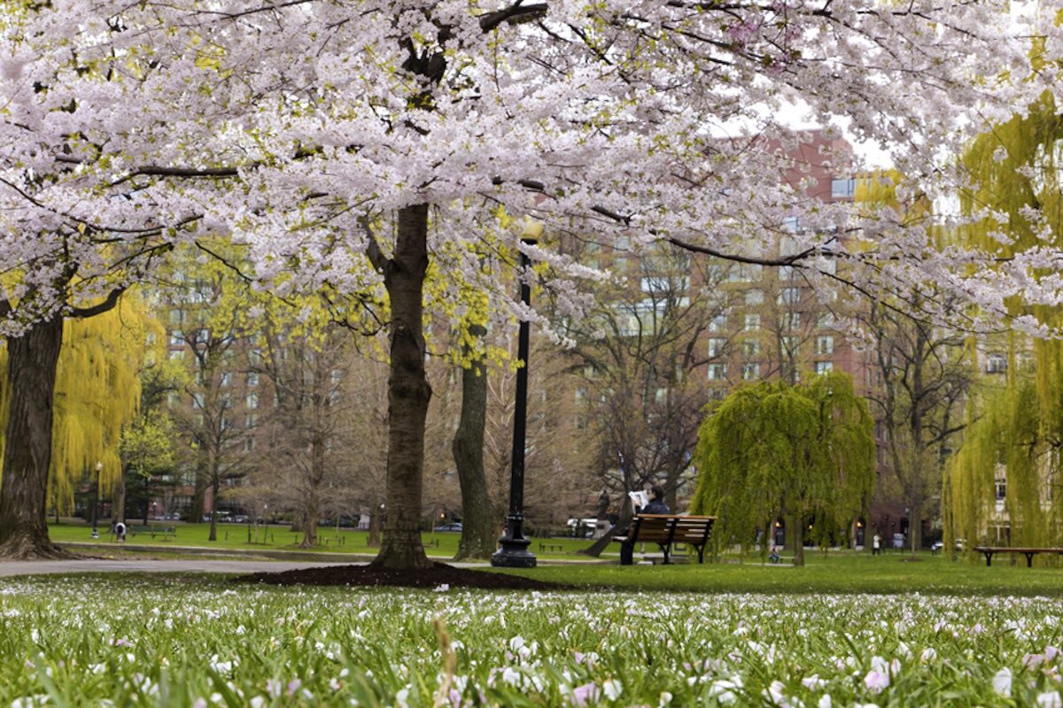 things_mag's tweet photo. The spring weather has brought events guides back to the site, check out May's! https://t.co/75h0cJ1BAZ https://t.co/FQ8C29dOAh