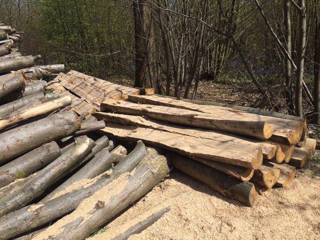 GrowninBritain's tweet photo. Woodland management = benefits for jobs, wildlife, carbon enquiries@growninbritain.org get involved too https://t.co/nTGCQ2We0o