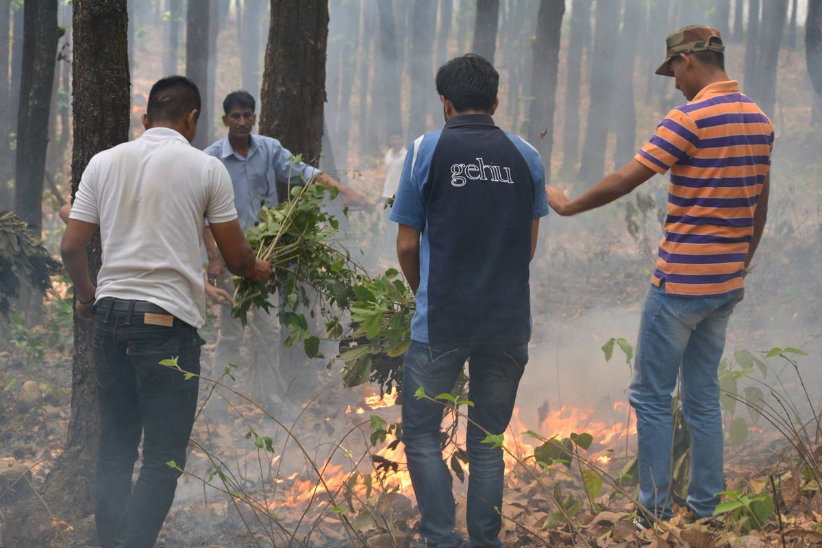 gehudehradun's tweet photo. Gehu students join the efforts in putting out the Uttarakhand Forest Fire #UttarakhandForestFire #gehu #aidefforts https://t.co/6gJbWypTJ2