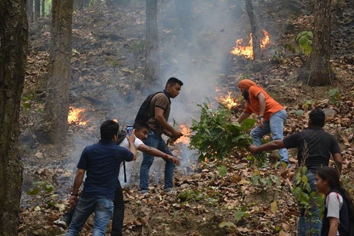 gehudehradun's tweet photo. Gehu students join the efforts in putting out the Uttarakhand Forest Fire #UttarakhandForestFire #gehu #aidefforts https://t.co/6gJbWypTJ2