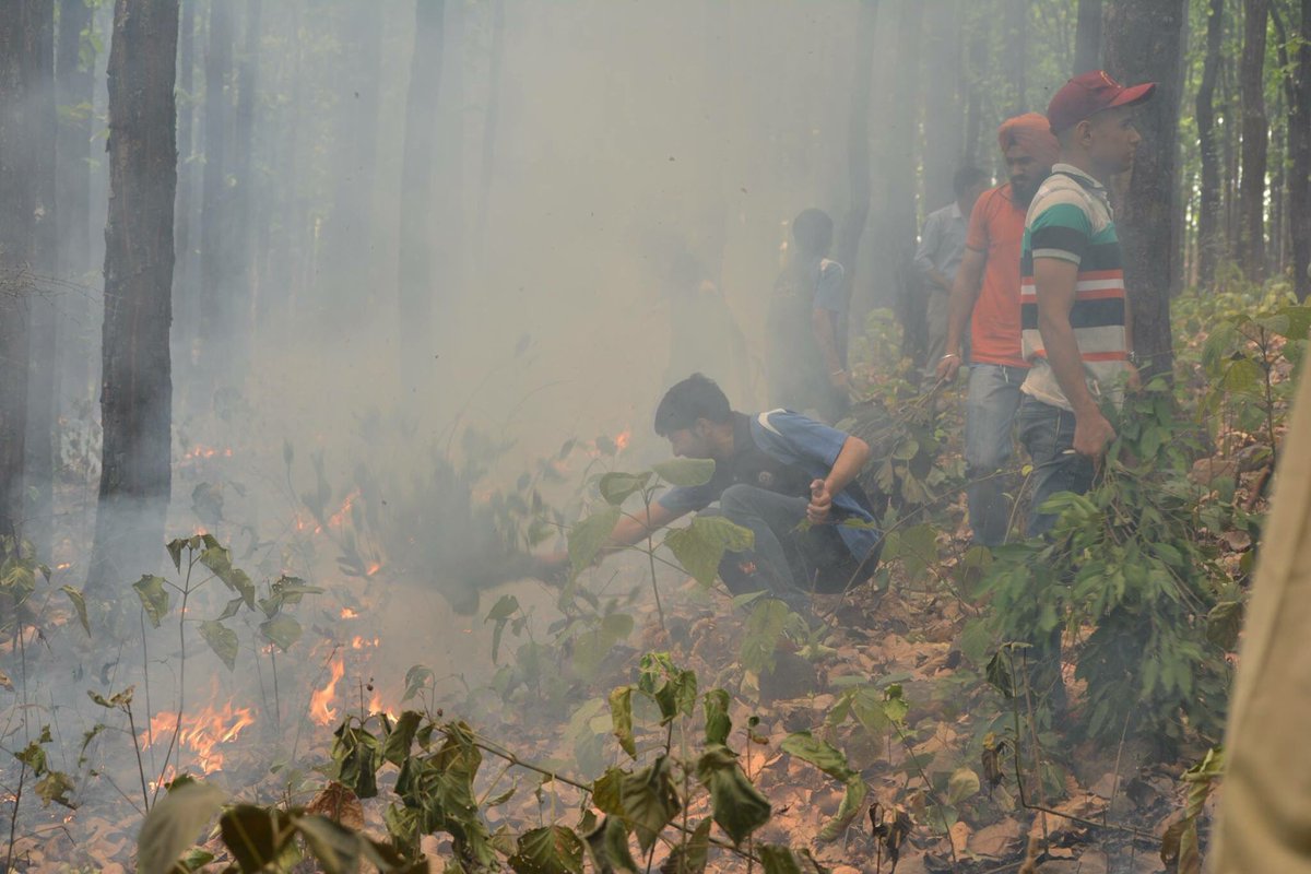 gehudehradun's tweet photo. Gehu students join the efforts in putting out the Uttarakhand Forest Fire #UttarakhandForestFire #gehu #aidefforts https://t.co/6gJbWypTJ2