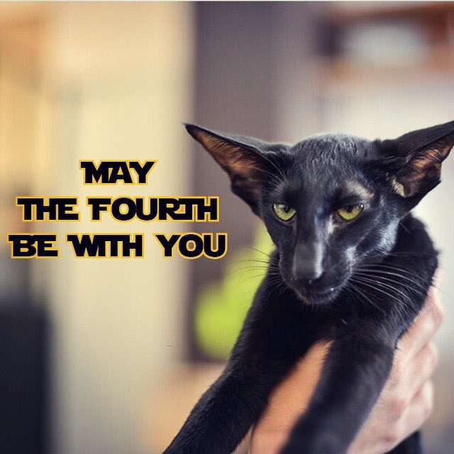 Atys, notre Kylo Ren local est très heureux de vous souhaiter un joyeux #StarWarsDay et #MayThe4BeWithYou