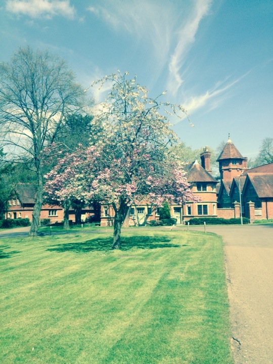 LizxNic's tweet photo. Summer breeze, two-toned blossom?! The magic continues at #HowberyPark #wallingford https://t.co/xoQ580vdC7