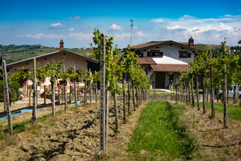 Giornata da <a href="/calatronivini/">Calatroni Vini</a> apprezzando Vini, Cibo e Colline in Oltrepò Pavese: blog.trovino.it/cantine/cantin… <a href="/vinoltrepo/">Oltrepò Pavese</a>