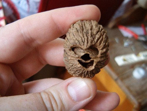 Que la fuerza (y los frutos secos) os acompañen... ;) #MayThe4thBeWithYou