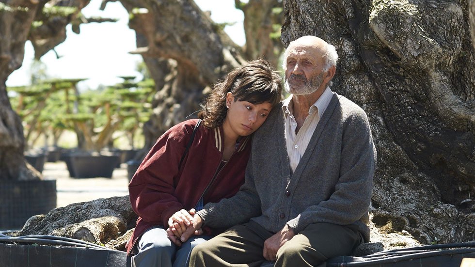 IESMPT's tweet photo. Unas horas para asistir al Preestreno de #ElolivoFilm en Tenerife. Descontando #ElOlivoEDU @elolivofilm https://t.co/o35xFKV17C
