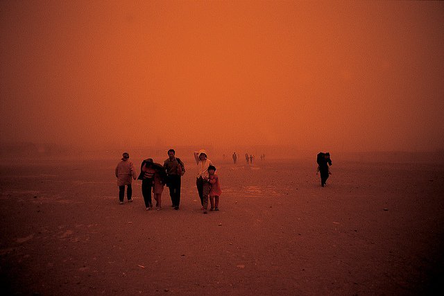 ONU Climat tweet media