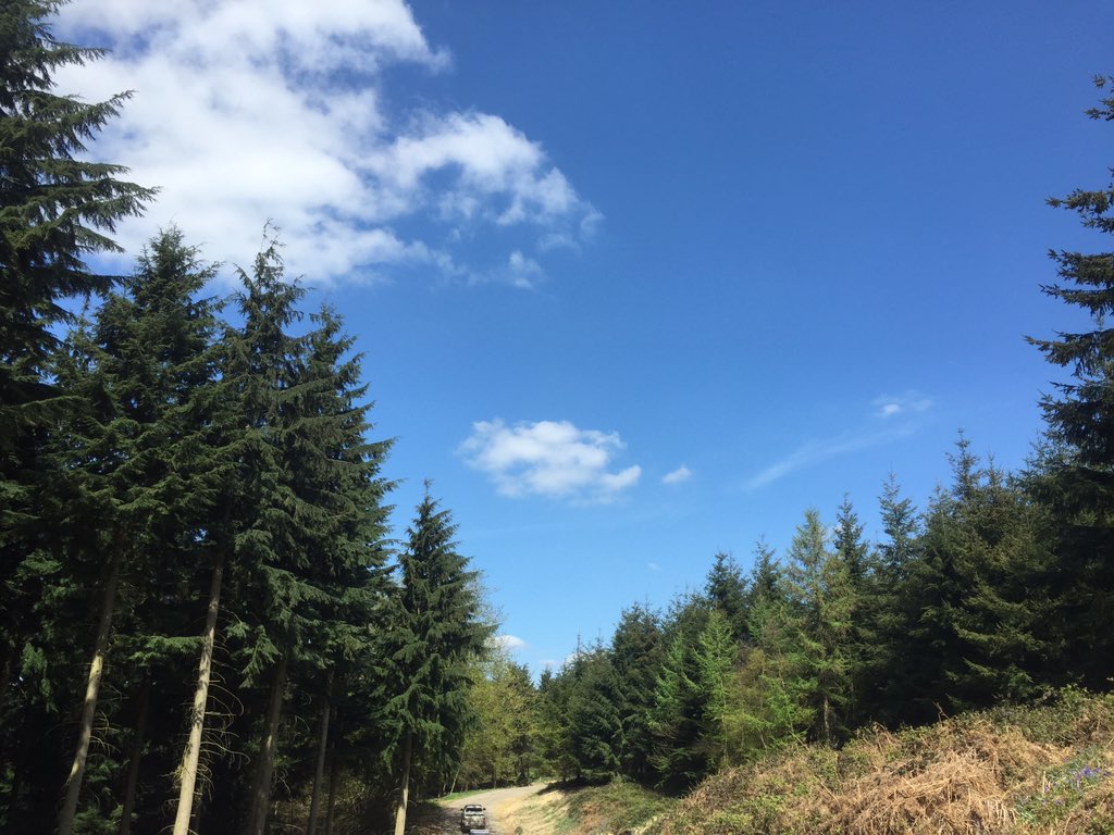 GrowninBritain's tweet photo. Touring the GiB licensed @TheMontrealEst with other GiB members @royal_forestry @BalcombeSawmill @ForestryCommEng https://t.co/XemooinpBH