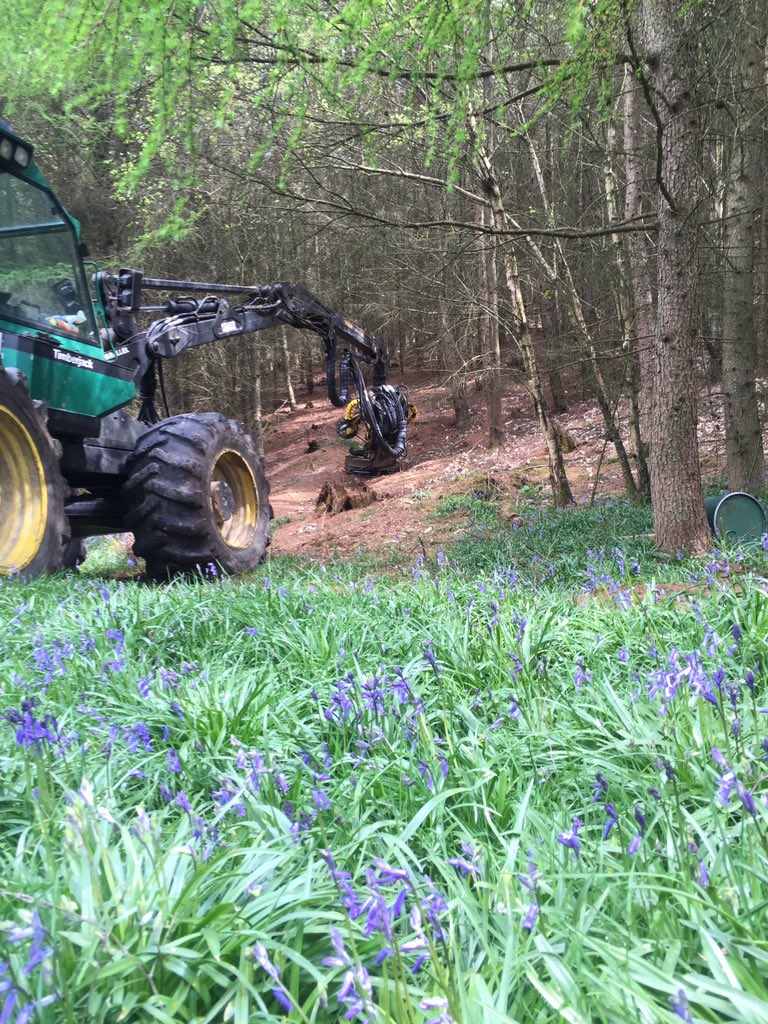 GrowninBritain's tweet photo. Touring the GiB licensed @TheMontrealEst with other GiB members @royal_forestry @BalcombeSawmill @ForestryCommEng https://t.co/XemooinpBH