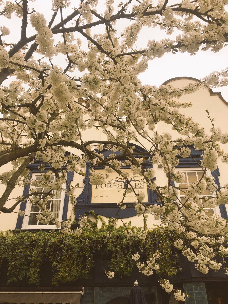 TheForestersHW's tweet photo. Don't forget our sun trap and kids allowed all day when eating!! #awayfromthemaddingcrowd #kingstonstoobusy https://t.co/9Sej4bRhB9