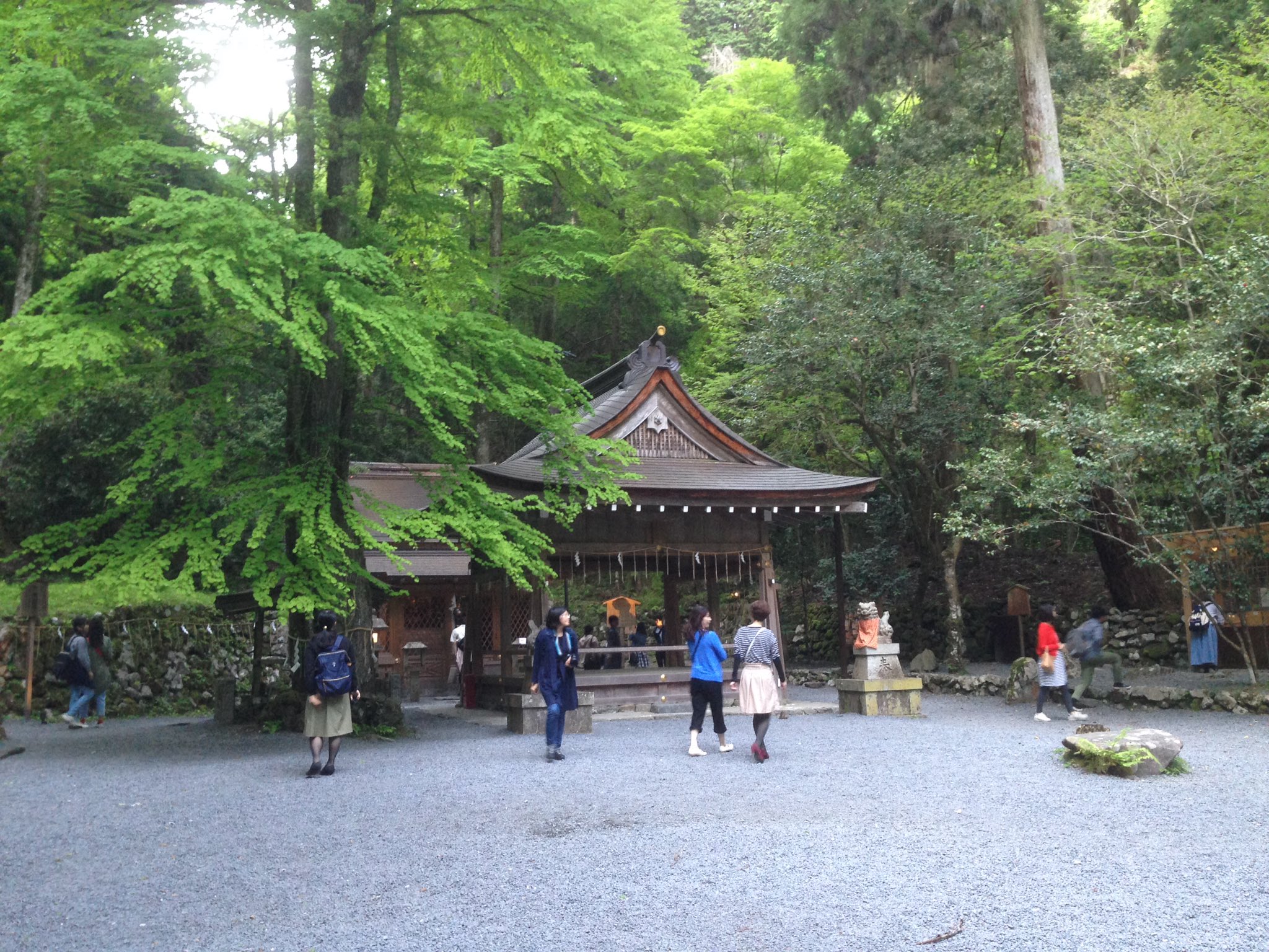 ひろ 京都その4 貴船神社 水に浮かべてあるのは水占みくじ 白い紙を水に浮かべると文字が浮かび上がる 面白いおみくじ 見事大吉を引き当てた そして 今まではツアーでしか行けなかった夜のライトアップが一般初公開 ひろ 京都その4 貴船神社 水に浮かべてあるのは水占みくじ 白い紙を水に浮かべると文字が浮かび上がる 面白いおみくじ 見事大吉を引き当てた そして 今まではツアーでしか行けなかった夜のライトアップが一般初公開