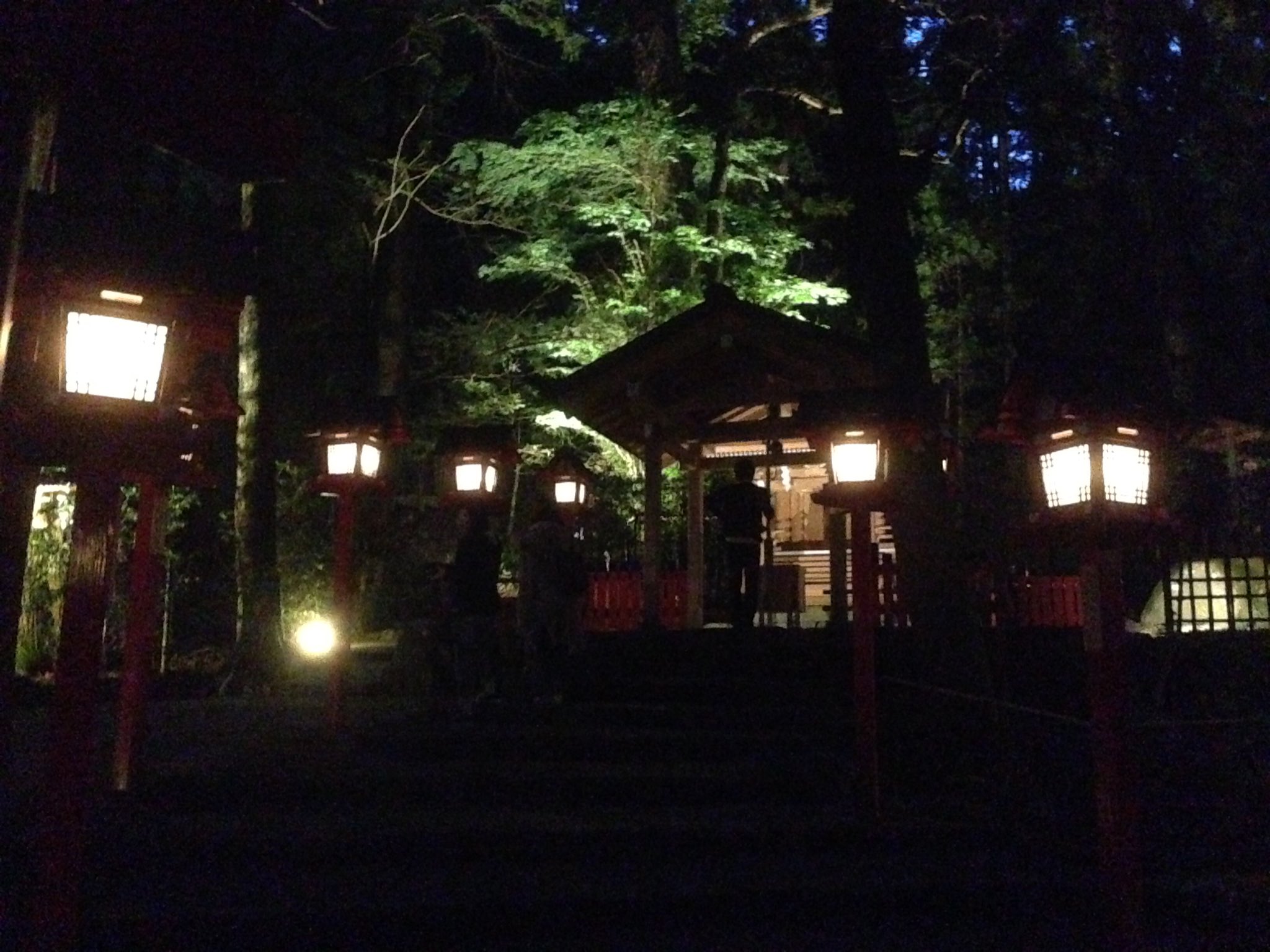 ひろ 京都その4 貴船神社 水に浮かべてあるのは水占みくじ 白い紙を水に浮かべると文字が浮かび上がる 面白いおみくじ 見事大吉を引き当てた そして 今まではツアーでしか行けなかった夜のライトアップが一般初公開 ひろ 京都その4 貴船神社 水に浮かべてあるのは水占みくじ 白い紙を水に浮かべると文字が浮かび上がる 面白いおみくじ 見事大吉を引き当てた そして 今まではツアーでしか行けなかった夜のライトアップが一般初公開