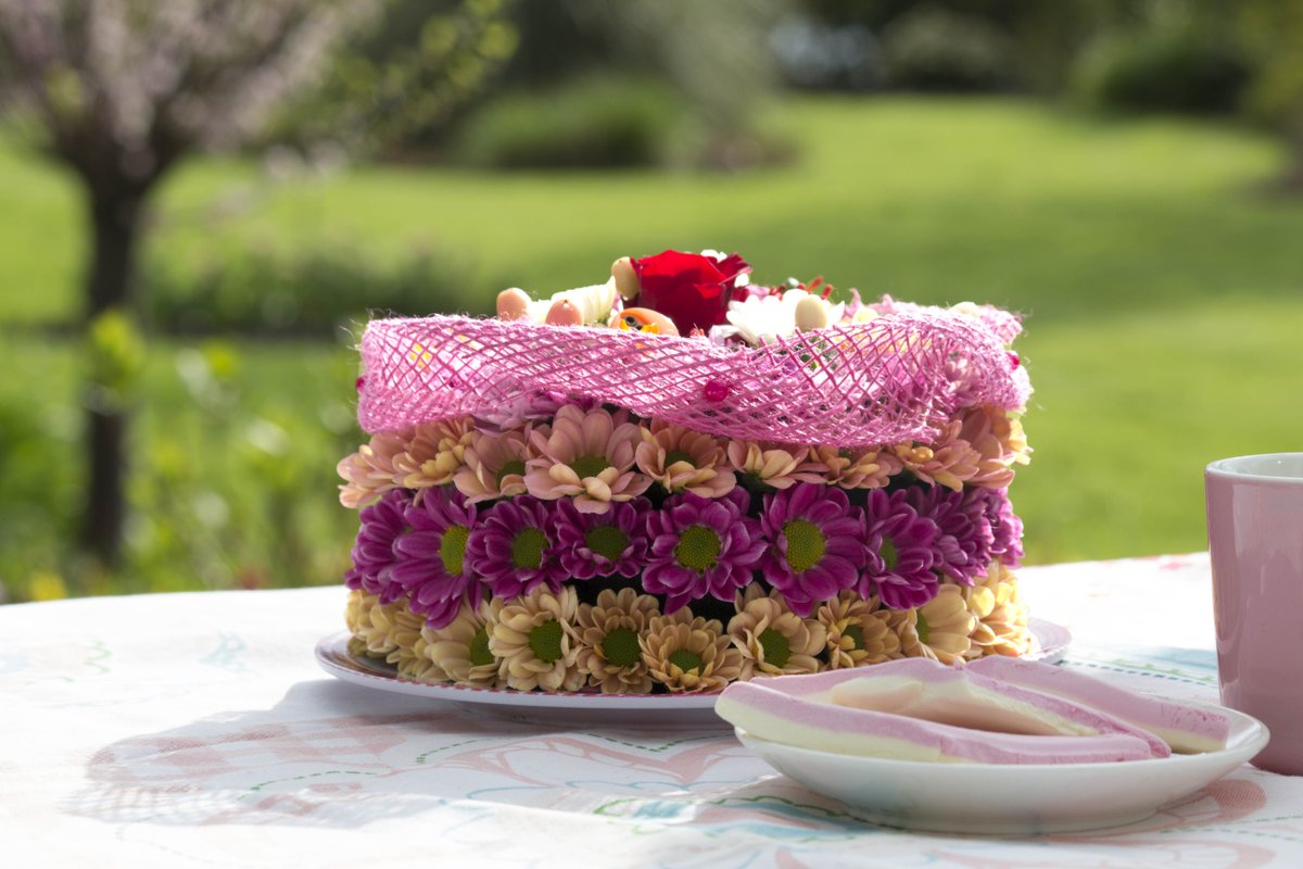 LS Santini tweet media