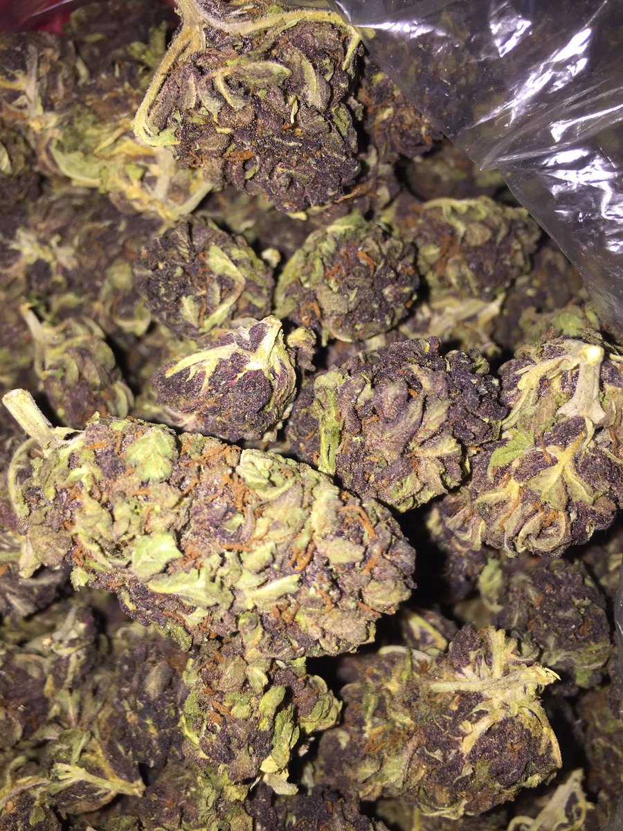 The420Phoenix's tweet photo. https://t.co/B9CIv3ktjs