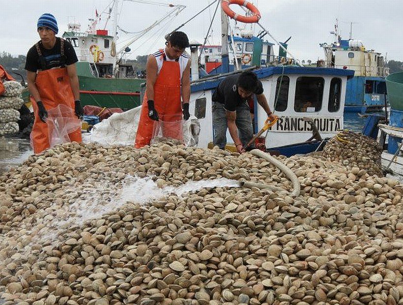 CodeXverde's tweet photo. Pescadores de #Chiloé apuntan a la industria salmonera por marea roja https://t.co/NJJiCSiuN7 https://t.co/CIuUSoVVWT