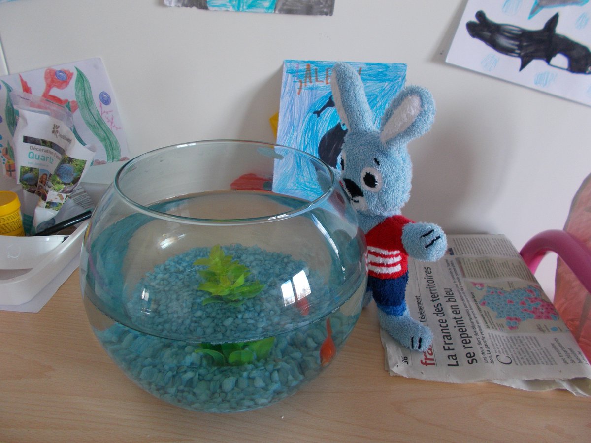 Fédération Léo Lagrange tweet media