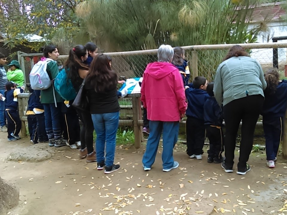 ColFdo's tweet photo. Los más pequeños!!!
#zoo
#Quilpué
@quilpueciudad https://t.co/hlZWRnlHvy