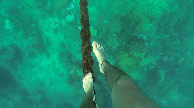 SeaLifeProject's tweet photo. I like to slack line under water. 
#adventure #goprophotography #goprolife #GoPro #slackli… https://t.co/JunUnu965R https://t.co/O1cZD7MTzq