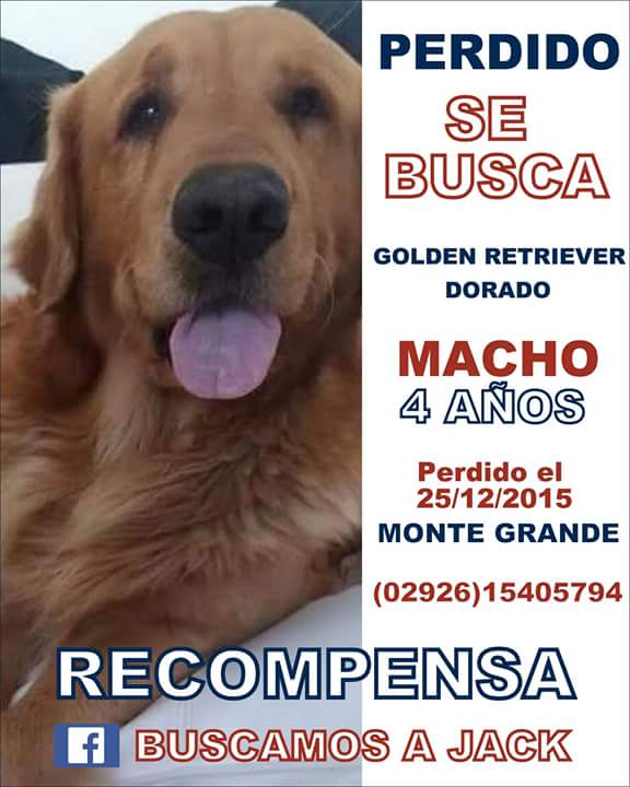 BUSCAMOSAJACK's tweet photo. #EsHoyRiver   BUSCAMOS A JACK #buscamosajack @BUSCAMOSAJACK NOS AYUDAN??? DIFUNDAN https://t.co/fz7g8k5YHr