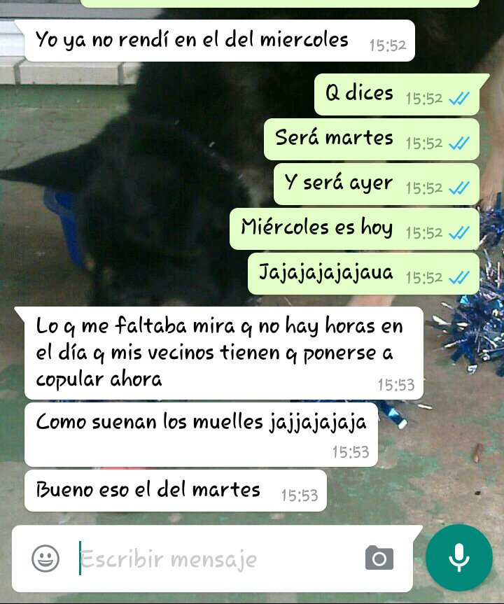 saul040297's tweet photo. Gracias por la información @ivi_sanchez8 😂😂 https://t.co/SMHd5847QR