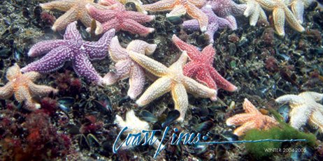 MassCZM's tweet photo. #CoastalHabitats from #SandDunes to #DeepWaterCorals are featured in this publication: https://t.co/nWkdGgv197 https://t.co/gkpkrmU7x7