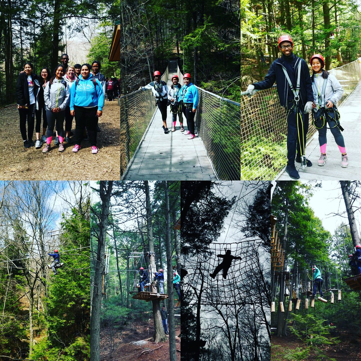 The Compass Program tweet media