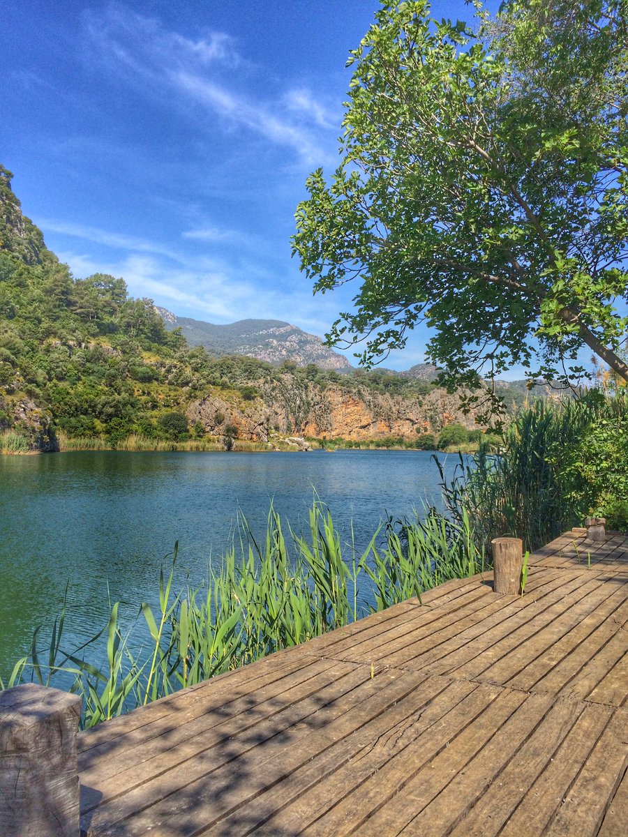 volkadventures's tweet photo. #holidays #sunny https://t.co/CypgrcmNPN