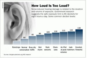 pcwerth's tweet photo. #DeafAwarenessWeek @pcwerthaudiolog @pcwerth Have you ever considered How Loud is Too Loud? https://t.co/3gi4Si2FNe