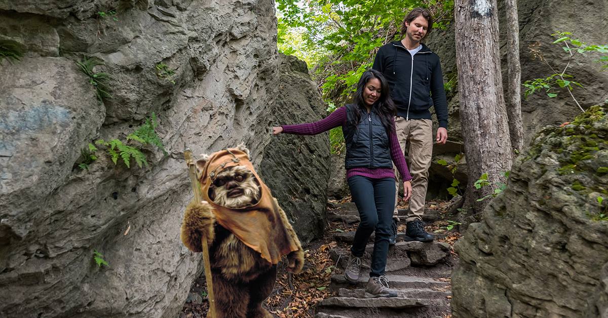NiagaraParks's tweet image. Happy #StarWarsDay from Niagara Parks! #MayThe4thBeWithYou