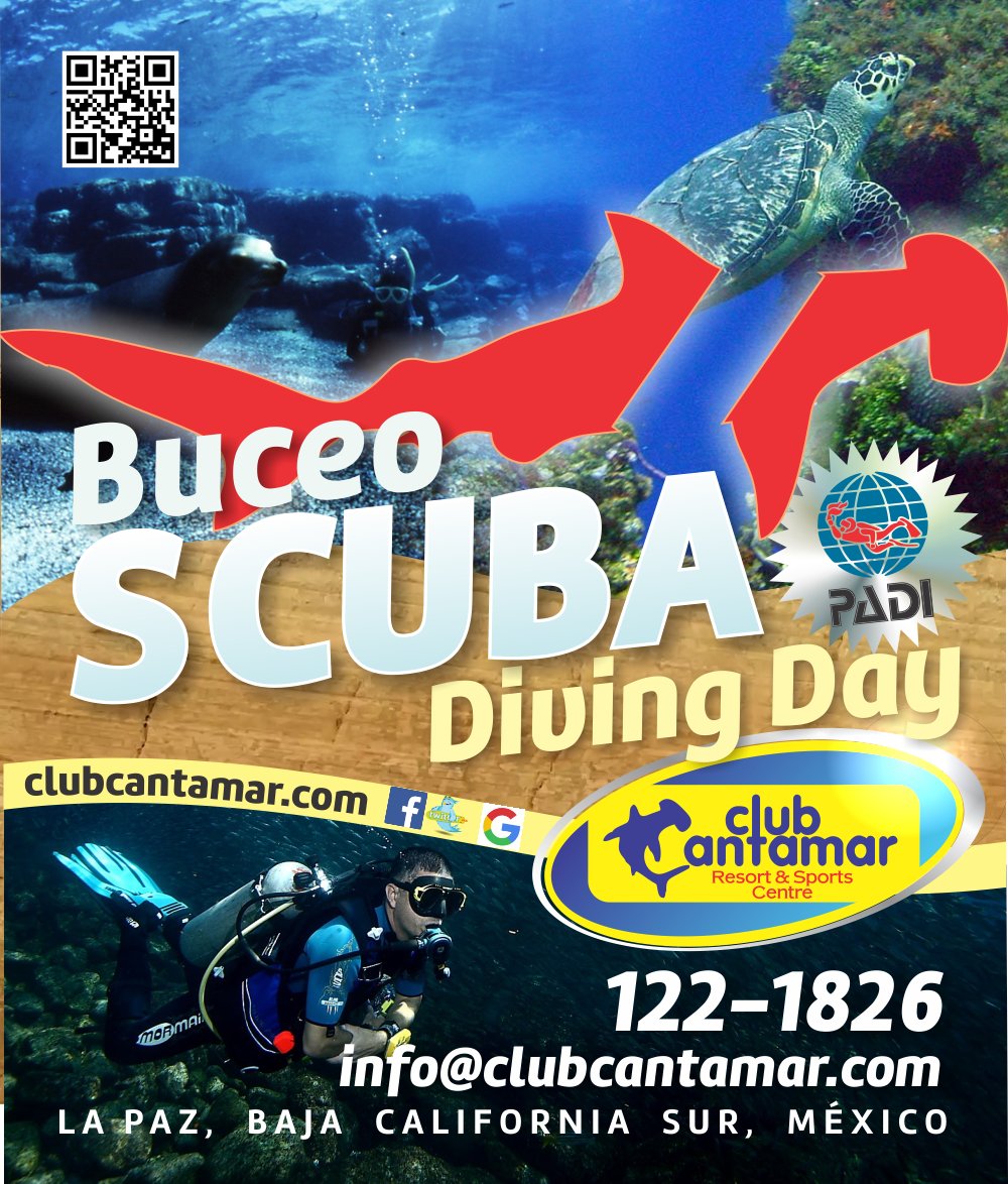 BajaDiving's tweet photo. Want to go #diving in the #SeaOfCortez? We take you there. #Cabo #LaPaz #BCSmx #TToT #Cantamar #BajaDiving #scuba https://t.co/ZQRqnOlbdn