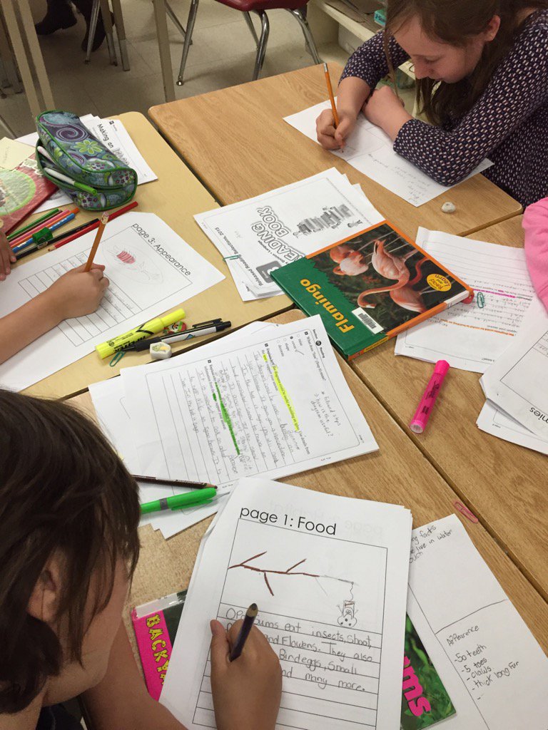 Working on our Report Writing in Gr3 at Byng