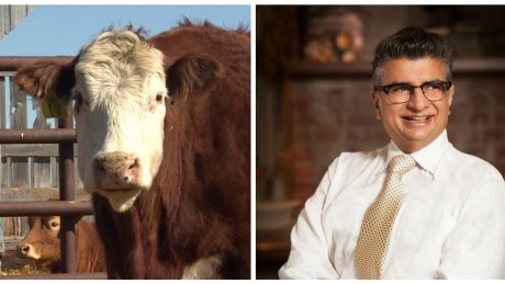 CBCCanada's tweet photo. 'We made a mistake': Earls to bring back Alberta beef after turning to U.S supplier https://t.co/y4yvfjqkA8 https://t.co/DbB7I549nn