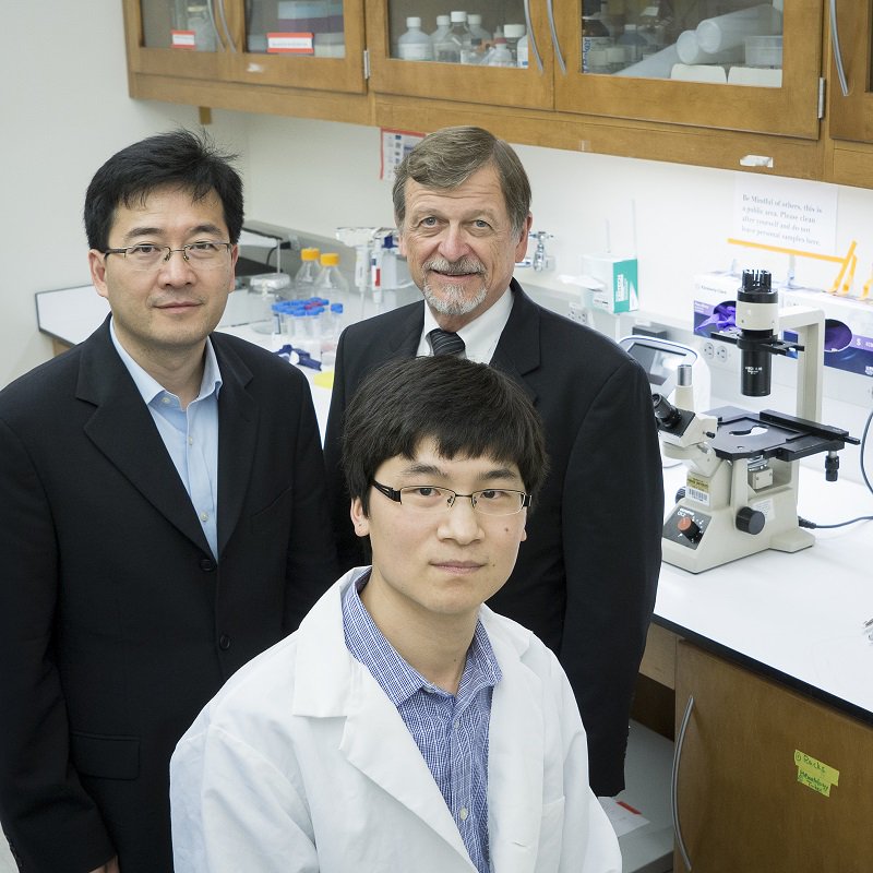 PUCancerInst's tweet image. #Purdue research points to new treatment for pancreatic cancer. bit.ly/1W7BM5s #PurdueCure #NCRM16