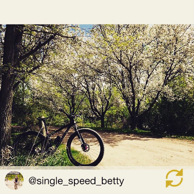 Hey, @SnglSpeedBetty, it is a beautiful day to get miles in for the #designvictory challenge. Isn't it?