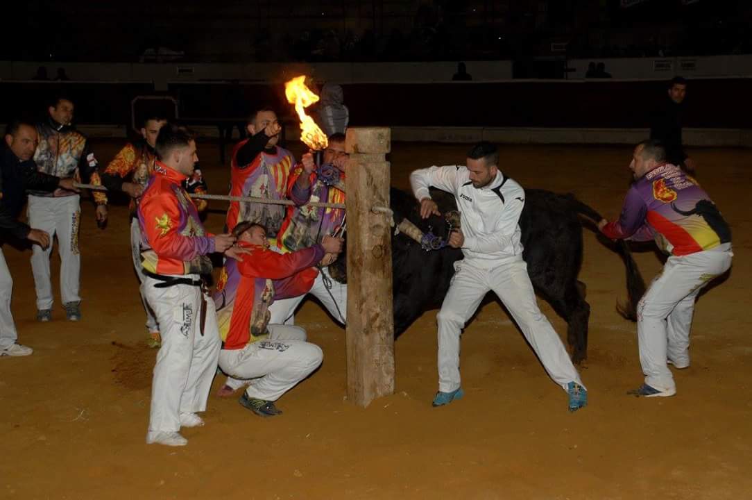 Concurso en Alcorisa