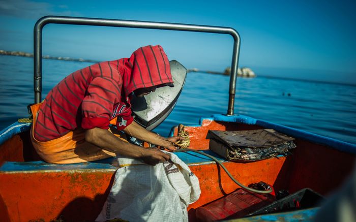 Good news for fish lovers as hake, kingklip get green sustainability status dlvr.it/LDNHvW