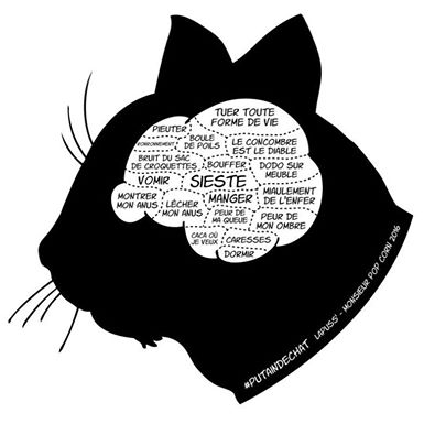 Ldlc 1 3 H3 7 La Verite Sur Le Cerveau Des Chats 13h37ldlc Ldlc 1 3 H3 7 La Verite Sur Le Cerveau Des Chats 13h37ldlc