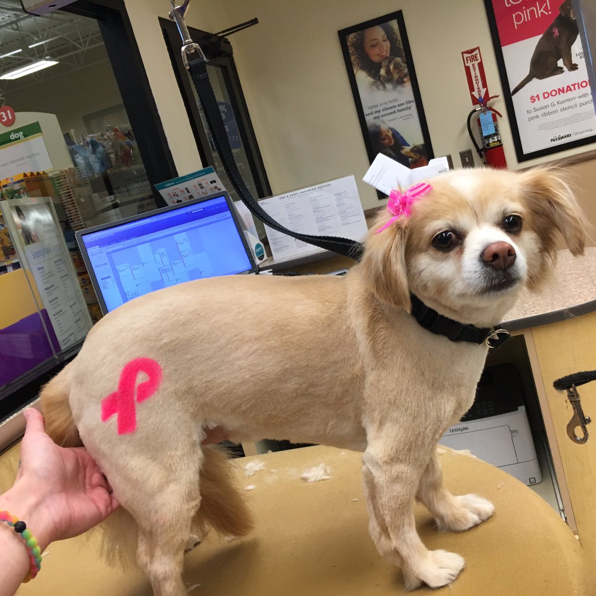 Paw came in and got a #stencilforacause #Susangkomen #petexpression 🐾🐾