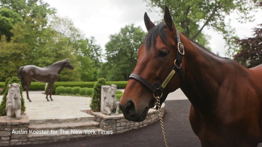 Högst avlönad i hästbranschen? American Pharoah's new career: nyti.ms/1ZcKAFb