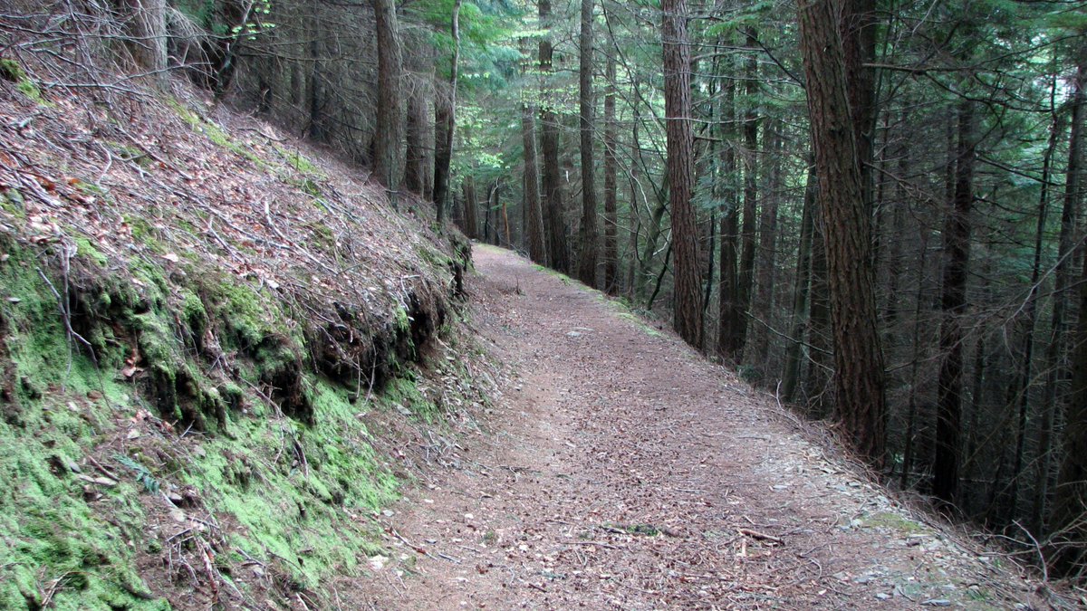 WalkNorthWales's tweet photo. Betws Y Coed Clogwyn Walk - just over 7 miles, great scenery, forest tracks and trails. #Conwy #NorthWales https://t.co/6HuyeiDrNh