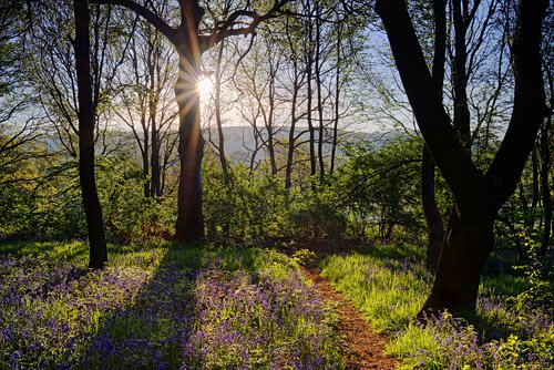 sheffcalendar's tweet photo. Available at Charisma Gifts,33 Sandygate Road,Sheffield,S10 5NA. #CharismaGifts,#Sheffield,#ATSocialMediaRT https://t.co/5qvJzvQIyX