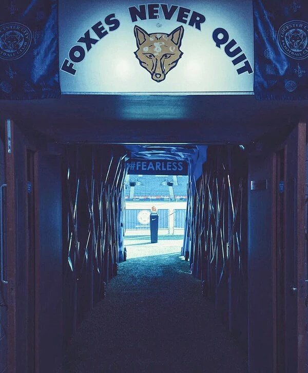 Hola, <a href="/realmadrid/">Real Madrid C.F.</a> no se preocupen. La próxima Champions, podrían tener un mejor rival. 😂😂

- LEICESTER CITY. 🐺💙