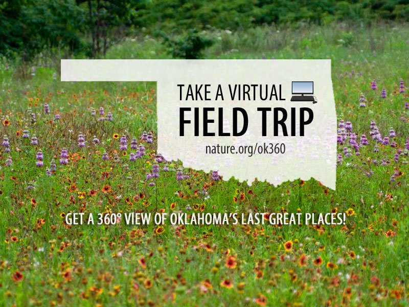 Nature_OK's tweet photo. Thanks to @BankofAmerica you can get a 360-degree view of OK's last great places! #OK360 https://t.co/njD2VP1rZk https://t.co/cGUOOLNlmi