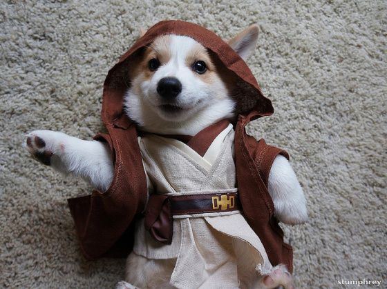 "No existen límites,  solo nuestros miedos nos superan" #StarWarsDay  #SomosFaan <a href="/AVAstudillo/">Alberto Astudillo B.</a> <a href="/super949/">Súper 9'49</a> <a href="/suKzuniga/">Nataly</a>