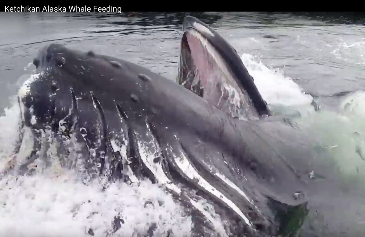 Thrill On tweet media