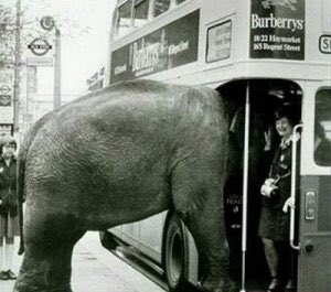 Patrik Brenning tweet media