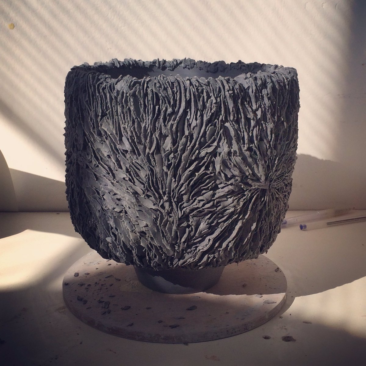 Olivia Walker tweet media