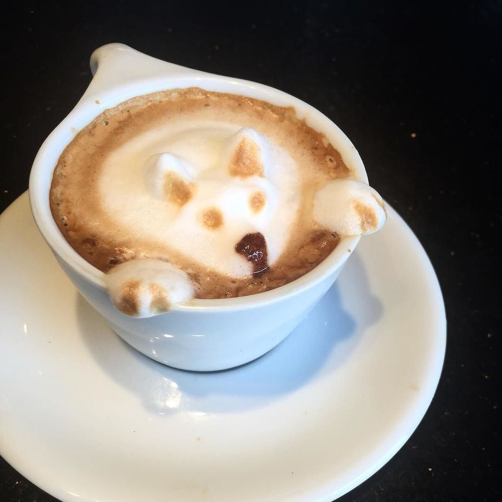 Great Lakes Coffee tweet media