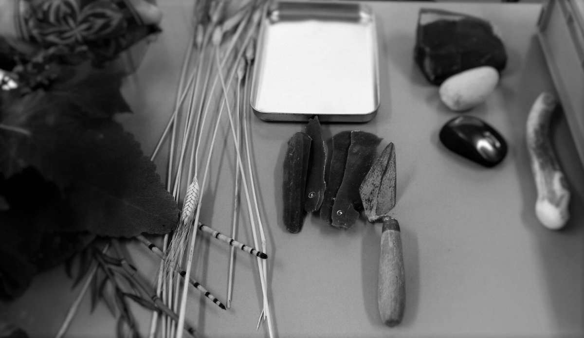 #puglia #brindisi #latiano Scuola Primaria 
L'incredibile storia della terra 
#impact #tuttaunaltrastoria